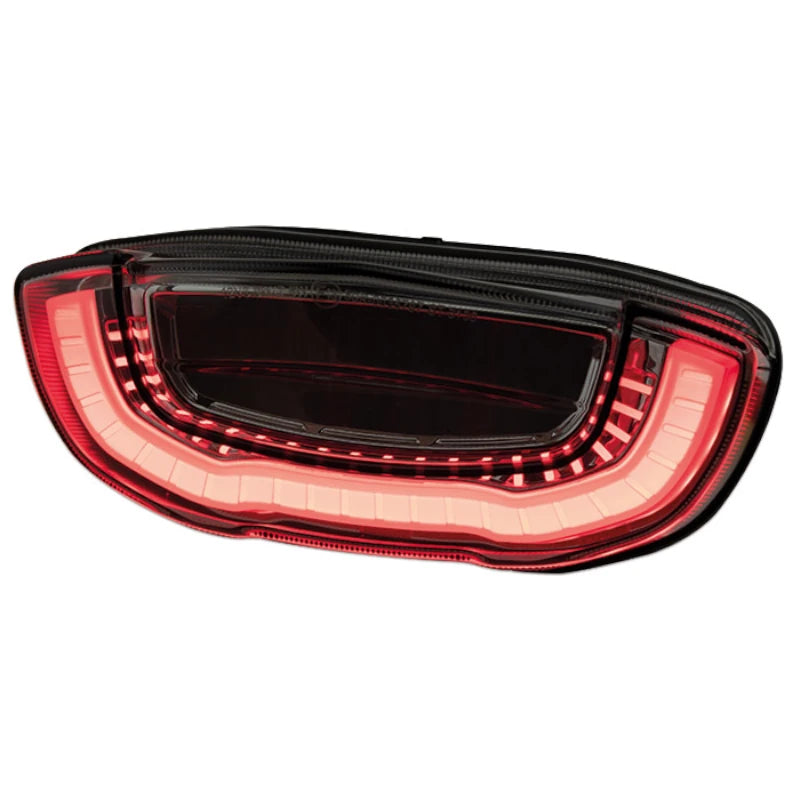 LED-Rücklicht für Honda CB650R CBR650R 2019-2022, Getönt, E-geprüft