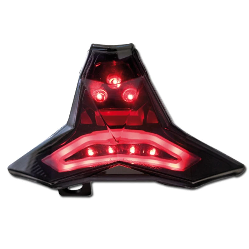 LED-Rücklicht für Kawasaki Z400 Z1000 Z1100 ZX-10R /RR ZX-6R, Getönt, E-geprüft