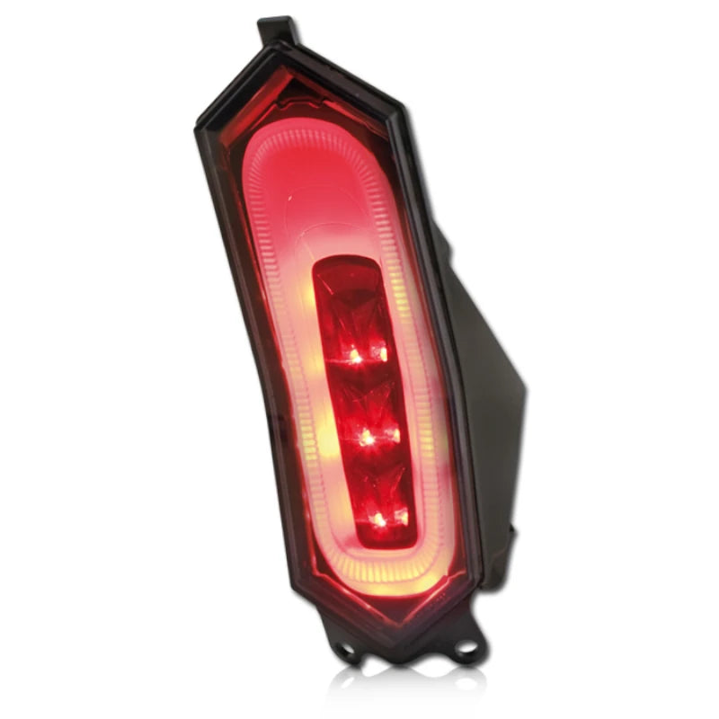 LED-Rücklicht für Yamaha YZF-R1 /M YZF-R6 YZF-R7 YZF-R9, Getönt, E-geprüft