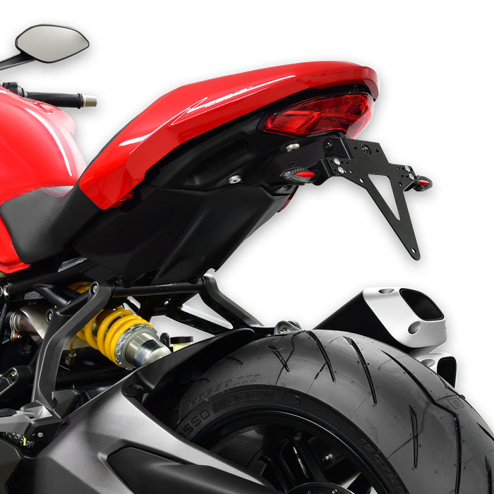 Kennzeichenhalter PROGRESS LINE für Ducati Monster 1200 / 797 / 821 (2017-2020)