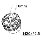 Daytona Öleinfüllschraube Kawasaki M20 x 2.5 mm