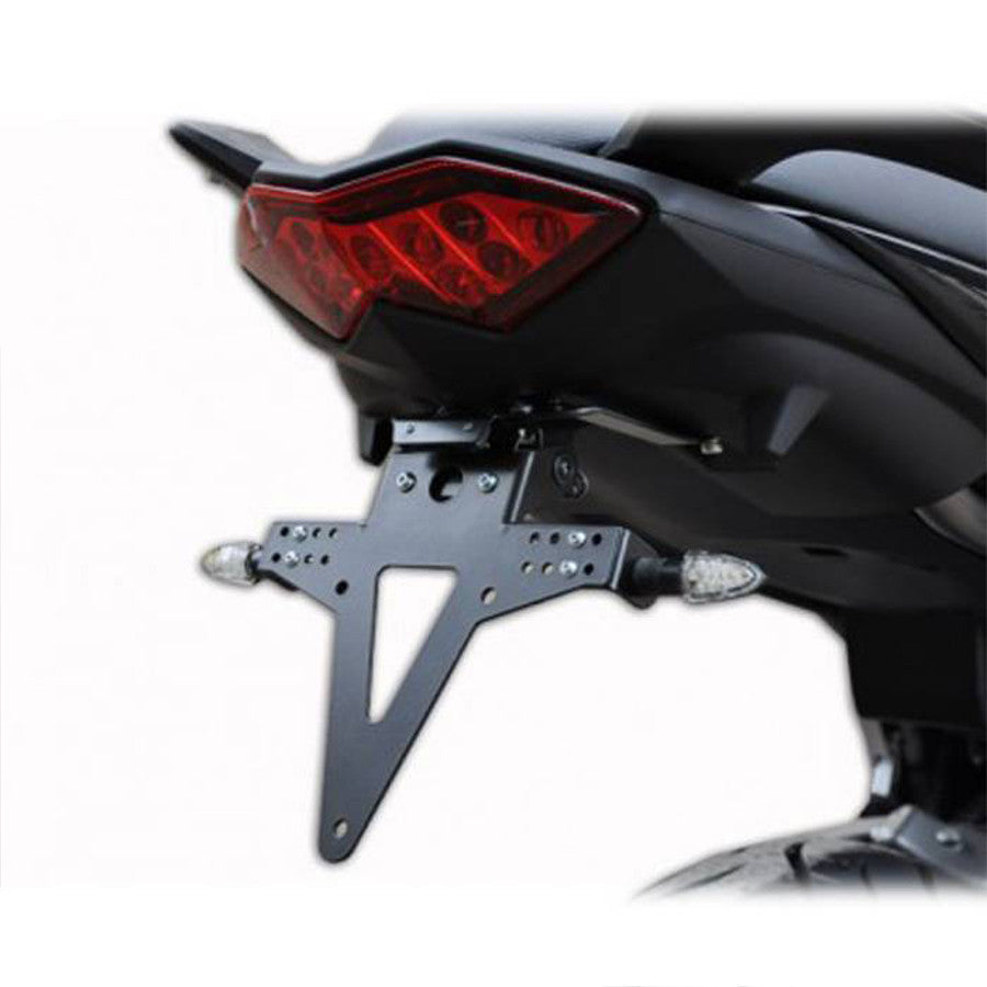 Kennzeichenhalter PROGRESS LINE für Kawasaki Versys 650 (2010-2014)