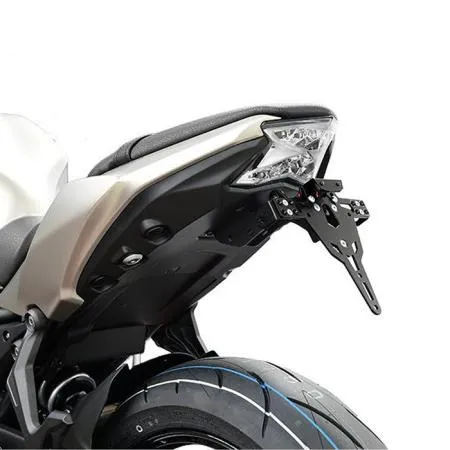 Kennzeichenhalter ZIEGER PRO für Kawasaki Ninja 650 (2017-2024) Z 650 (2017-2024)